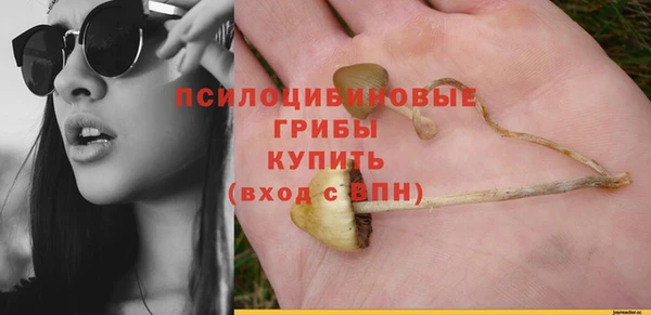 сатива Аркадак