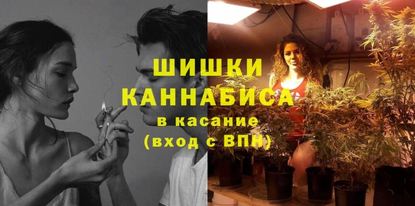 сатива Аркадак