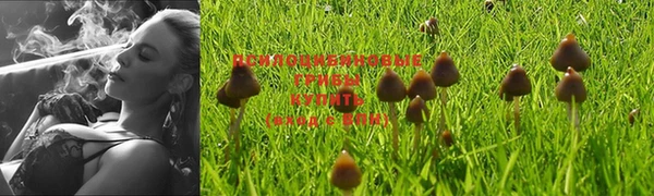крисы Арсеньев