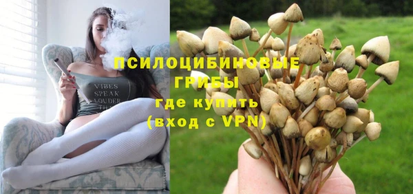 крисы Арсеньев