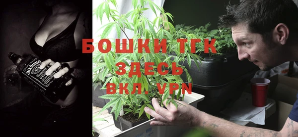сатива Аркадак